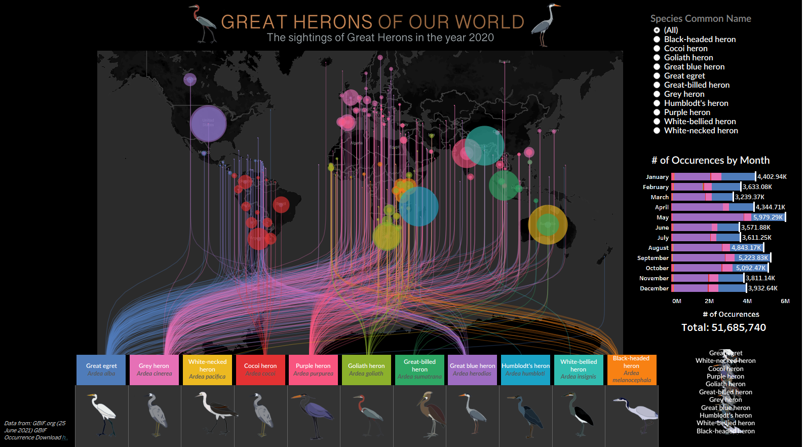 Heron Migration, Data Visualization