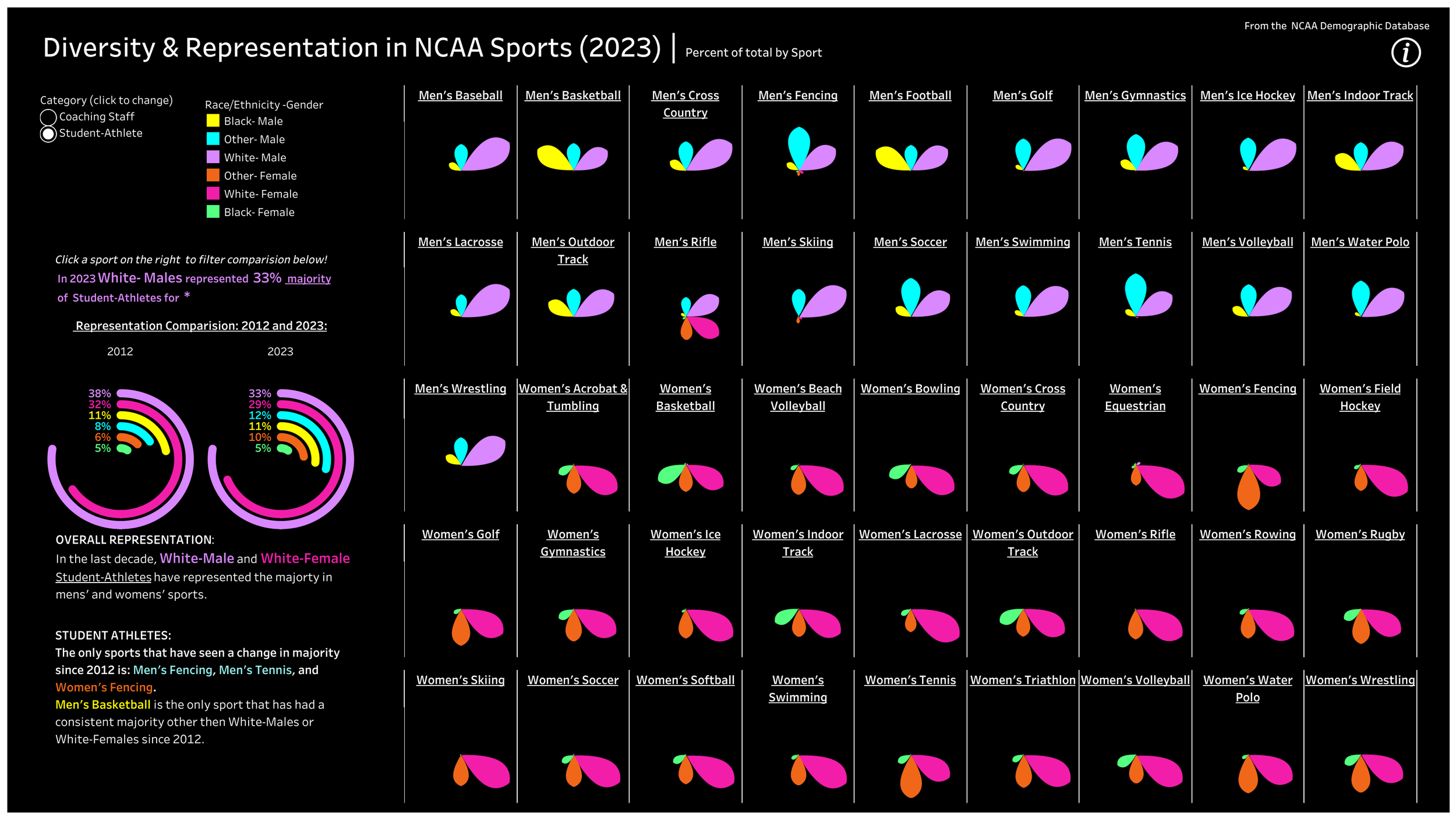 Diversity in NCAA Sports, Data Visualization